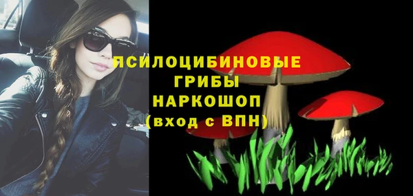 ГАЛЛЮЦИНОГЕННЫЕ ГРИБЫ Балабаново